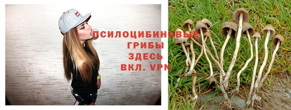 кристаллы Верея