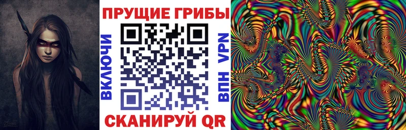 Псилоцибиновые грибы MAGIC MUSHROOMS  Карасук 